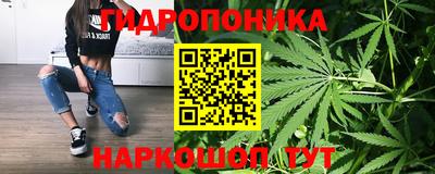 амф Рыбинск