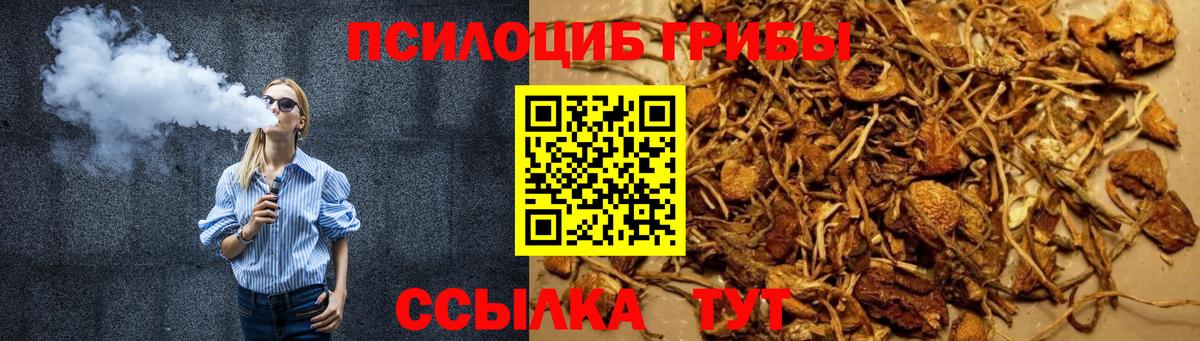 Галлюциногенные грибы Psilocybe Россия
