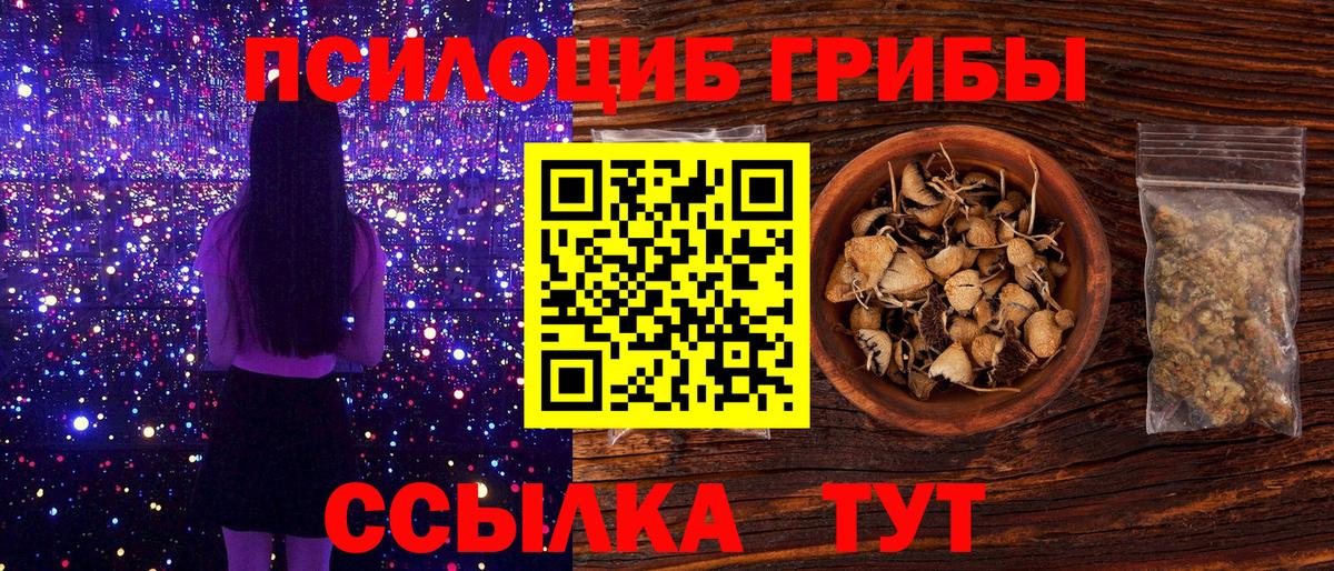 Галлюциногенные грибы Psilocybe  Псилоцибиновые грибы мицелий  где купить   Вход с VPN  Россия 